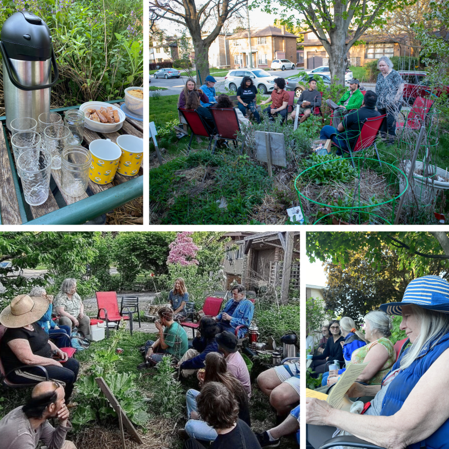 Neighbours seated in a circle of garden chairs at the Community Permaculture Lab; a table of glasses, mugs and a flask of tea in the foreground.